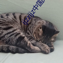918博天堂·(中国)手机版客户端
