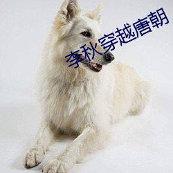 李秋(qiū)穿越唐(táng)朝