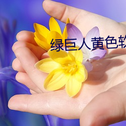 绿巨人黄色软件