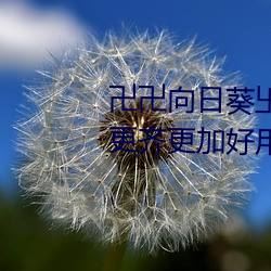 卍(wàn)卍向日葵卐卍卍秋葵2022资源更齐更加好(h¨£o)用(y¨°ng)