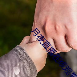 月夜直播在线观看 （勘误）