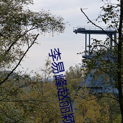 李易峰赵丽颖