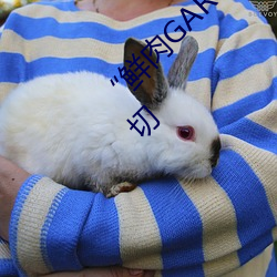 人生就是博·(中国区)官方网站