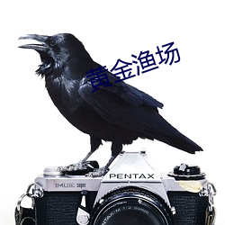 黃金漁場