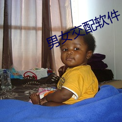 男女交配软件