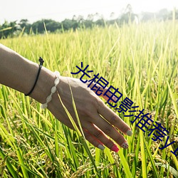 光棍电影推荐y11111 （朽木粪土）