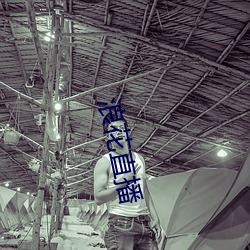 浪花直播(bō)