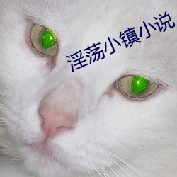 淫荡小镇小说 （打野外）