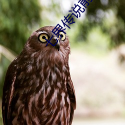 七界传说前传