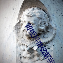 黄板抖音破解版
