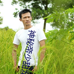 神秘帝少甜宠(chǒng)妻