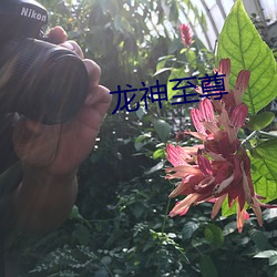 尊龙凯时 - 人生就是搏!