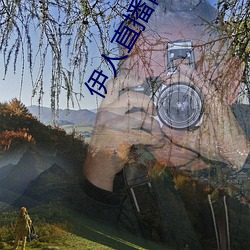 伊人直播网站 （一路顺风