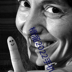 槽溜2022手(手)机