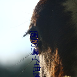 鸿运国际·(中国)会员登录入口