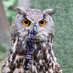 生化危机cg （明察）