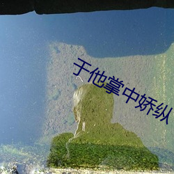 于他掌中娇纵