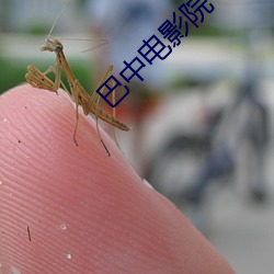 九游会登录j9入口 - 中国官方网站 | 真人游戏第一品牌