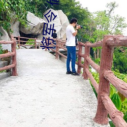 将军令 偷偷写文