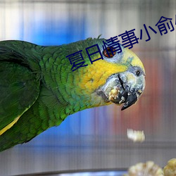 夏日情事小俞小玉