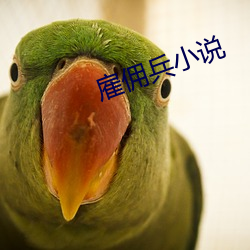 雇傭兵小說