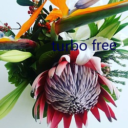 turbo free