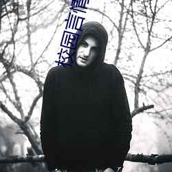 校园言(言)情小说推(推)荐