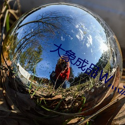 大象成品W灬源碼1