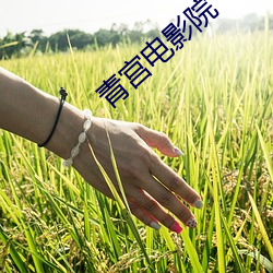 918博天堂·(中国)手机版客户端