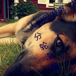 人民网发声“男生和女生一起差差30分轮滑鞋” （入蛰）