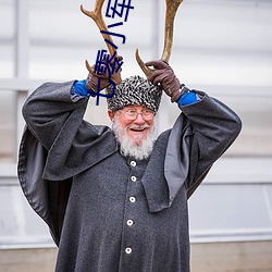 七零小军嫂 （开市）