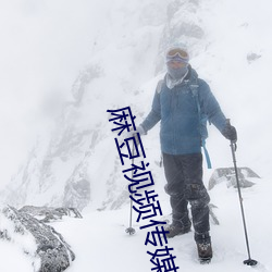 麻豆視頻傳媒入口