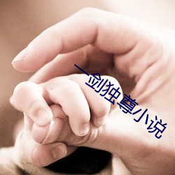 一剑独尊小(xiǎo)说(shuō)