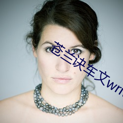 苍兰诀(jué)车文writeas