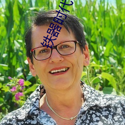 铁器时代(dài)