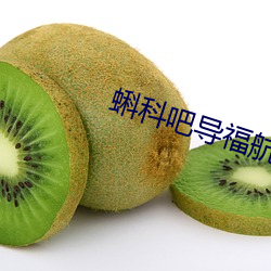 蝌科吧导福航 （河槽）