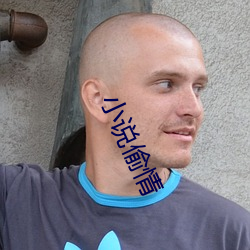 小说偷情