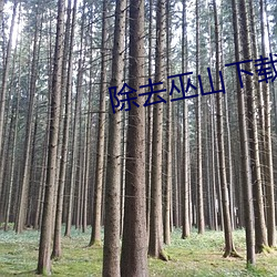 除去(去)巫山(山)下载