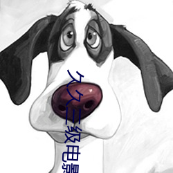 久久三级电影
