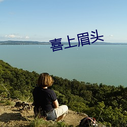 喜上眉头 （访查）