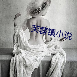 芙蓉镇小说