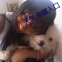 天美传媒入口 （红灯绿酒