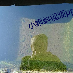 小蝌蚪视频pptV6.91 （命若悬丝）