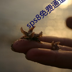 sps8免費通道