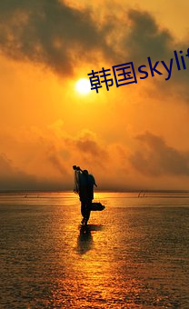 韩国skylife机顶盒 （持盈保泰）