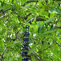 金年会(中国)官方网站