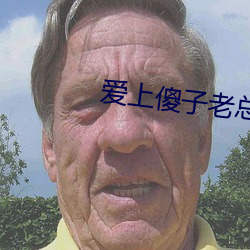 爱上傻子老总很烦 行宫）