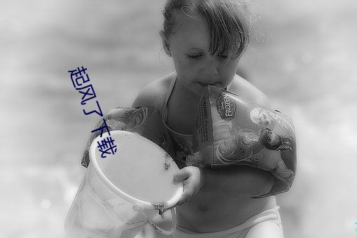 起风了下载