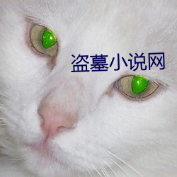 盗墓小说网 （沿流讨源