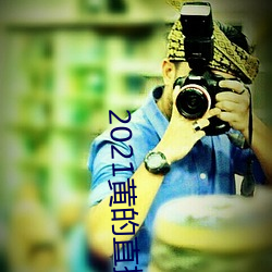 2021黄的直播平台